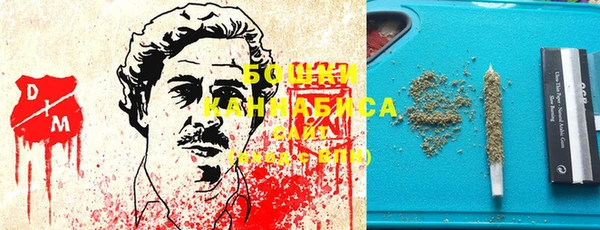 ГАЛЛЮЦИНОГЕННЫЕ ГРИБЫ Алексин