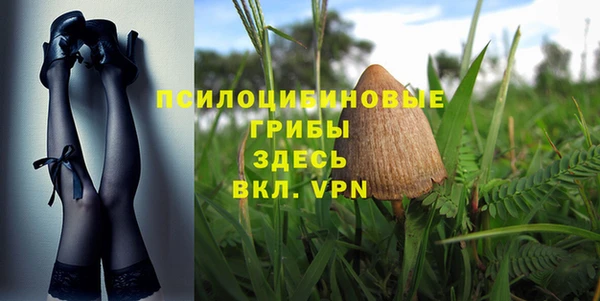 стафф Алзамай