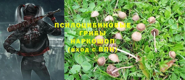прущие грибы Абдулино