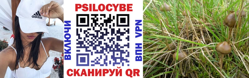Псилоцибиновые грибы Psilocybine cubensis  купить наркоту  Сатка 